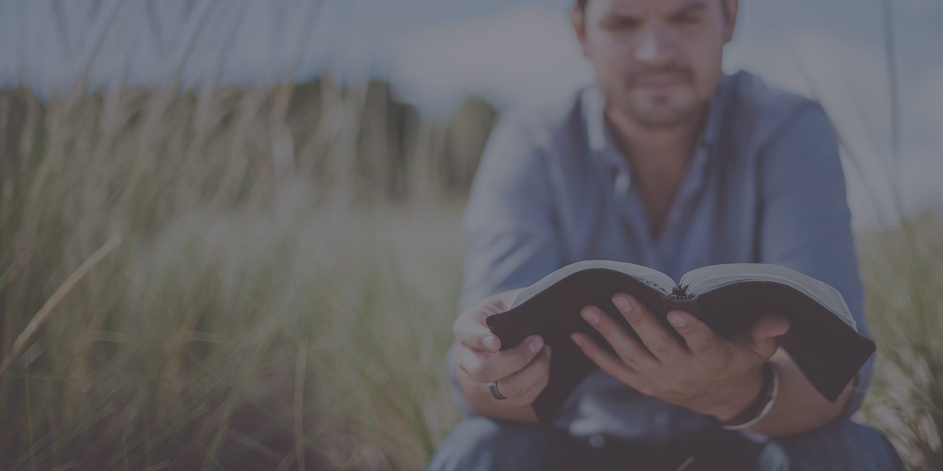 BibleMesh - Trusted Theological Education